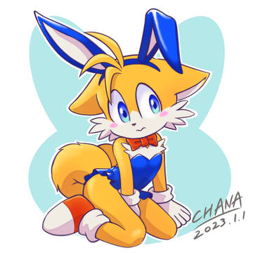 ウサギ年テイルス