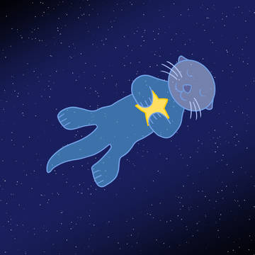 Space sea otter