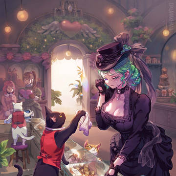 Comfort Shop & The cat