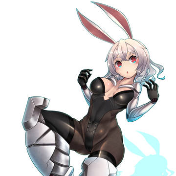 ウサギ年