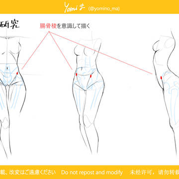 腸骨稜を意識した腰回り・骨盤の描き方