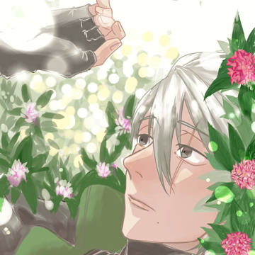 沈丁花とカカシと光