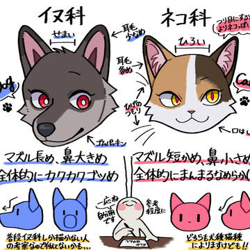 イヌ科とネコ科の描き方(?)