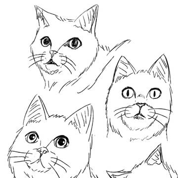 猫模写