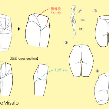 腰回り・お尻描き方