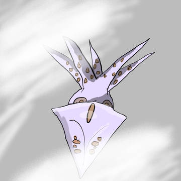 EDFのイカ