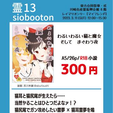 【3/11東方合同祭事・玖】R18レイマリ新刊小説本サンプル