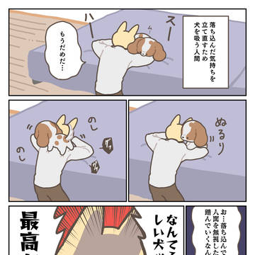 人間に寄り添わない日もある