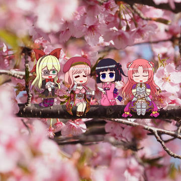 お花見サクラ組