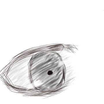 eye