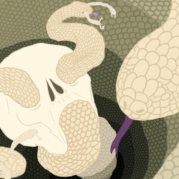 Snake Skin