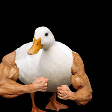 Stronk ducky