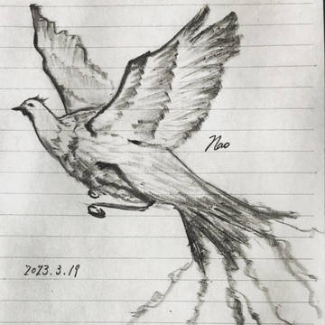 鳳凰