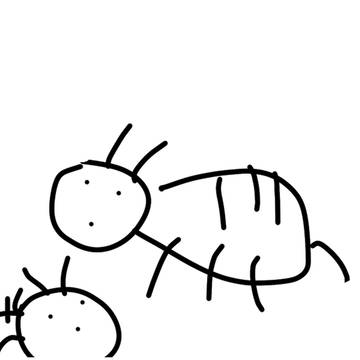蜘蛛たち