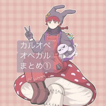 カルオペ オペカル まとめ