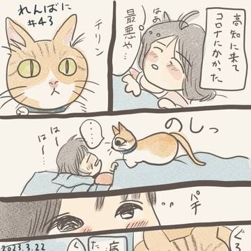 れんばに #43