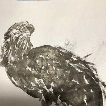 鷹
