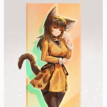乖总猫猫