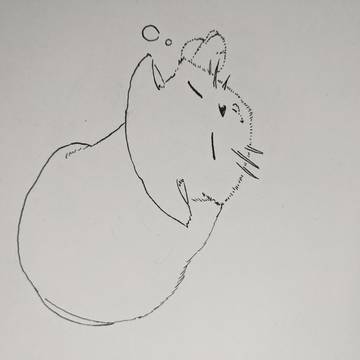 ねこ