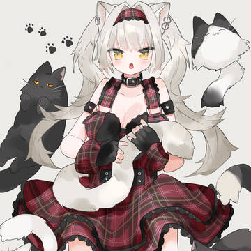 ねこ