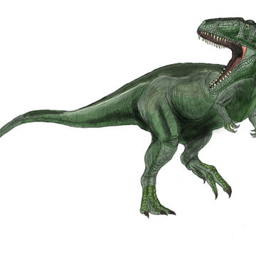 カルカロドントサウルス