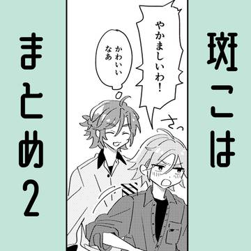 斑こは まとめ②