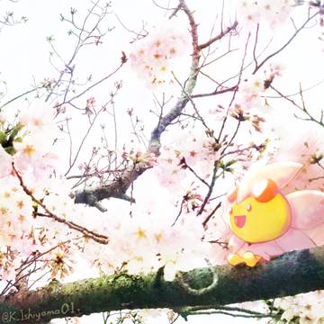 「今日は"桜の日"だったらしいよ」