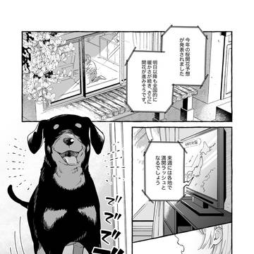 春が来ると思い出す、ふたりの出会い