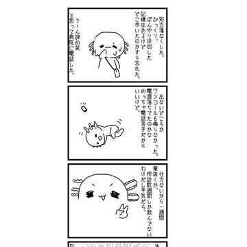 びっくりした。そこまで愚かだとは。
