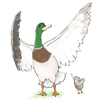 カモ