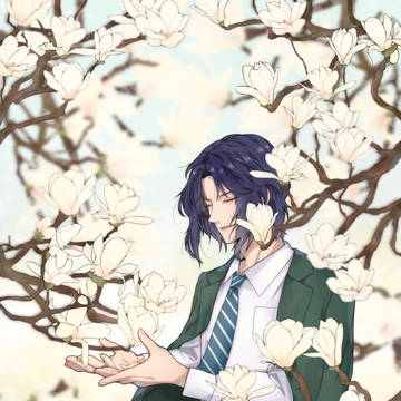 マグノリア