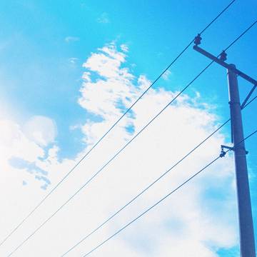| 電柱 |