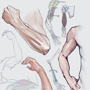 腕の練習