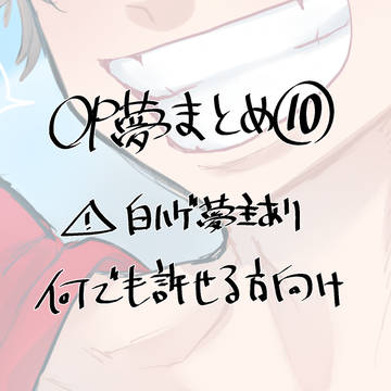 OP夢まとめ⑩