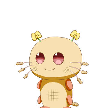 ナッツちゃん