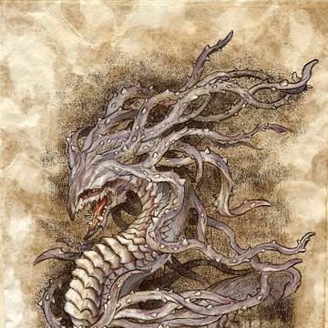 旧い龍の博物画