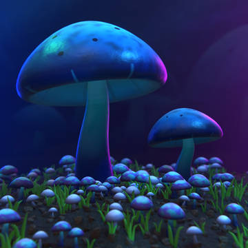 Magic Mushroom 🍄🌙