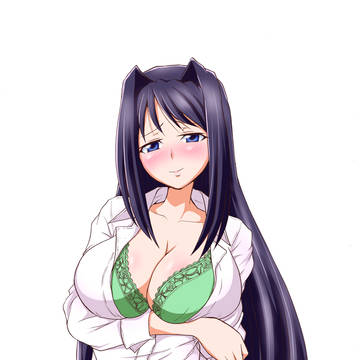 戦国乙女つめあわせ