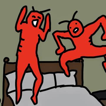 個性豊かなエビたち