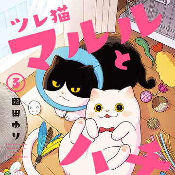 【告知】ツレ猫 マルルとハチ 3巻発売中です