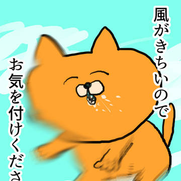 風がきちいので気を付けてください