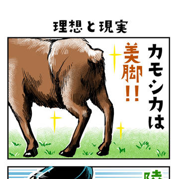 カモシカの三太4コマ劇場「理想と現実」