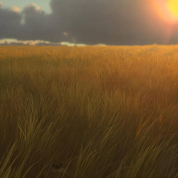 Grassfield