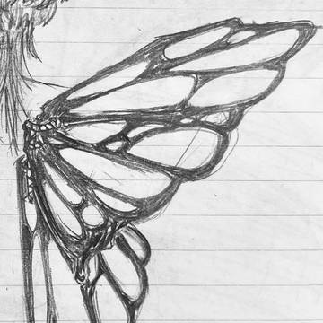 蝶🦋