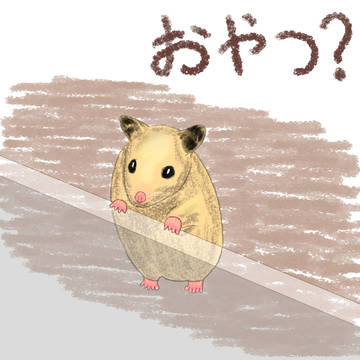 おやつ待ちハムスター