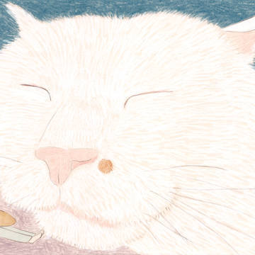 「きみの寝顔が好き過ぎる」