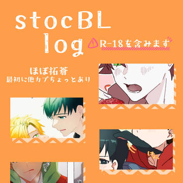stocBL log
