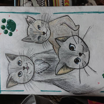 ３匹の猫