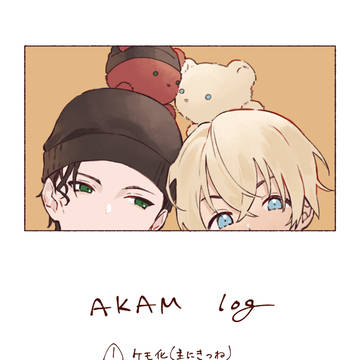 赤安log