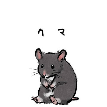 コミティア144 ハムスター漫画サンプル
